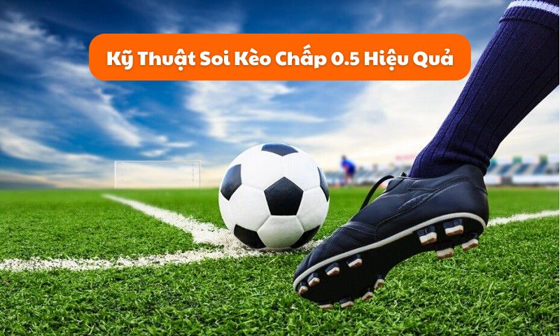 Xem Xét Phong Độ Đội Bóng và Cầu Thủ